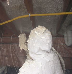 Boise ID crawl space insulation